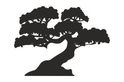 Naklejka Drzewo Bonsai