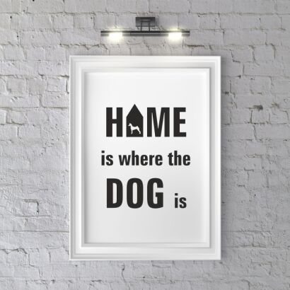 Plakat Home is where the dog is