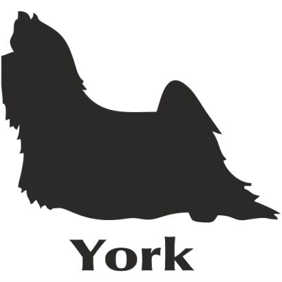 Naklejka Yorkshire Terrier (długowłosy)