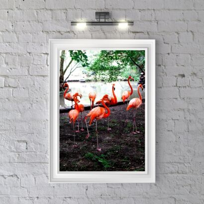 Plakat Z Flamingi