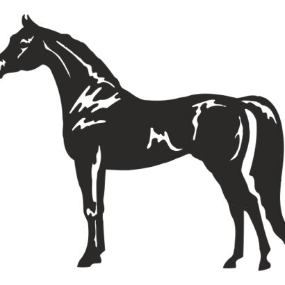 Naklejka Koń 