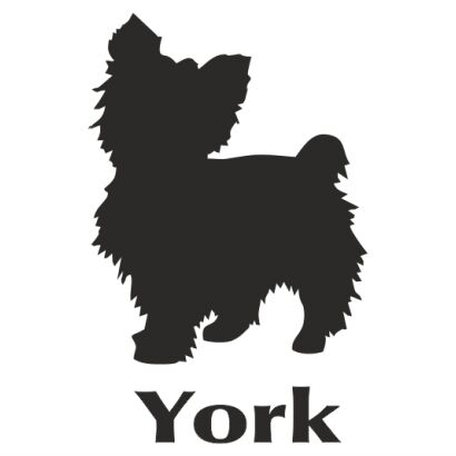 Naklejka Yorkshire Terrier (krótkowłosy)