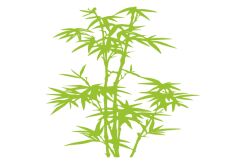 Naklejka Naklejka Bambusy 