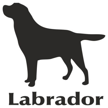 Naklejka Labrador Retriever